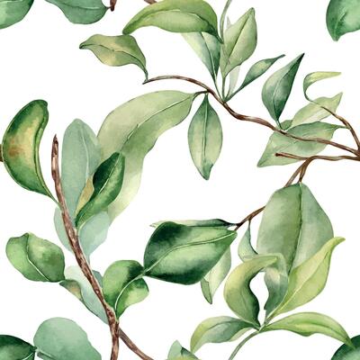 Leaves on branch fruit tree watercolor seamless pattern isolated on white. Foliage of citrus tree hand drawn. Bergamot , grapefruit plants in botanical sketch style. Assorted green leaf for print.