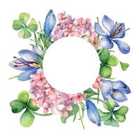 Circle frame with saffron and clover watercolor illustration isolated on white. Painted pink hydrangea flowers frame. Hand drawn Irish symbol. Design for St.Patricks day, Easter, springtime, package. vector