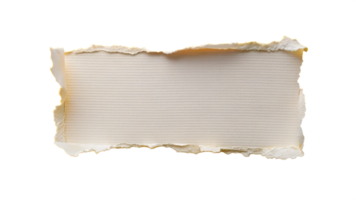 White Torn ripper paper sheet Texture isolated on transparent background png