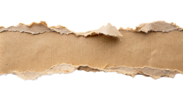 Torn ripper paper sheet Texture isolated on transparent background png