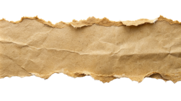 Torn ripper paper sheet Texture isolated on transparent background png