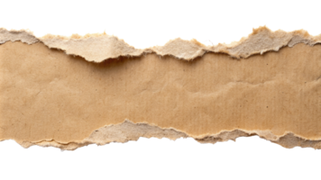 Torn ripper paper sheet Texture isolated on transparent background png