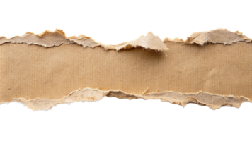 Torn ripper paper sheet Texture isolated on transparent background png