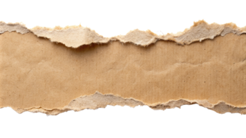 Torn ripper paper sheet Texture isolated on transparent background png