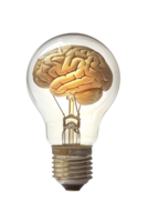 Lightbulb with brain alone against transparent background png