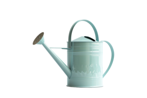 Overflowing watering can on transparent background png