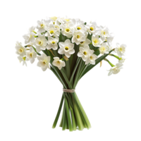 A bouquet of white fresh narcissus against transparent background generated by Ai png