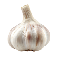 Isolated Garlic on transparent background png