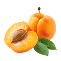 Opened apricot isolated over transparent background png