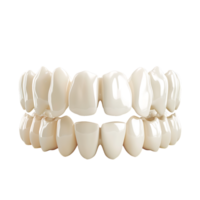 Teeth on white isolated over transparent background png