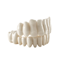 Teeth on white isolated over transparent background png