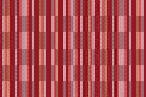 Mature lines textile stripe, india texture pattern. Merry background vertical fabric seamless in red and white colors. vector