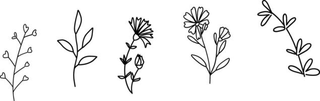 Wildflowers collection. Collection of twigs. Twigs Hand drawn floral elements. Hand-drawn doodles illustration. Line art vector
