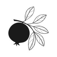 Pomegranate fruit on branch with leaves, stylized contour drawing, isolated on white background. vector