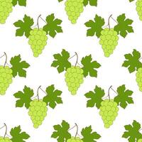 Pattern with green grape on white background. vector