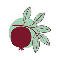 Pomegranate fruit on branch with leaves, stylized contour drawing , logo icon emblem and element design. vector