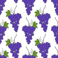 Grape seamless pattern on white background, contour doodle drawing of grape berries and leaves. vector