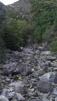 Nature stream rock video