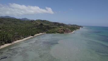 Wild beach with palm trees in the Philippines view from a drone video