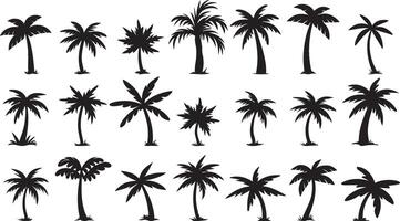 Black cartoon palm trees set isolated on white background. Palm silhouettes. Design of palm trees for posters vector