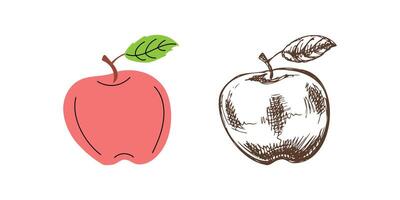 flat and hand drawn sketch style fruit , apple Illustration. vector