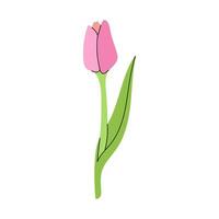 flat style flower Illustration. Tulip sketch. Back to School. vector