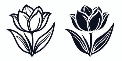 two black and white tulips on a white background vector