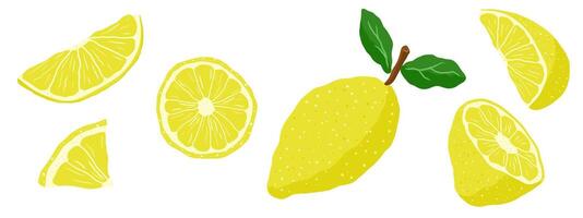 Naive Illustrated lemons and lemon slices in various stages and angles on transparent background. Hand drawn illustration set. Concept of freshness and citrus fruits vector