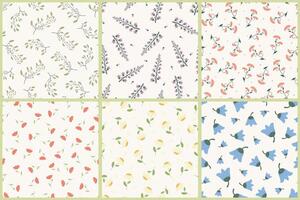 Collection of seamless elegant floral patterns - hand drawn cute design. Repeatable colorful spring backgrounds with branches and flowers. Textile endless prints. illustration vector