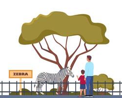 Zebra on territory of wildlife zoo park surrounded by fence. Parent and kid watching animals in zoo park. illustration. vector