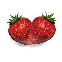 Fresh strawberry isolated on white background with clipping path vector