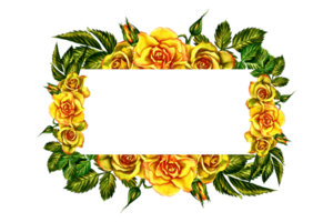 The roses are yellow. Flower frame. A hand-drawn watercolor illustration. Watercolor design of wedding, greeting and invitation cards. For packaging and labels, backgrounds and banners, posters. png