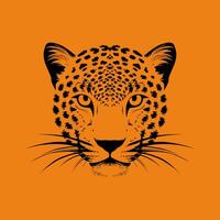 Leopard face drawing staring with intense eyes on orange background vector
