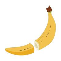 Banana slices illustration of various sizes and angles. vector
