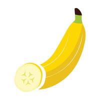 Banana slices illustration of various sizes and angles. vector