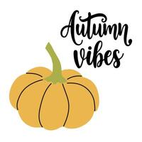 Autumn vibes. Hand drawn lettering phrase with pumpkin. Autumn hand drawn lettering autumn vibes. vector