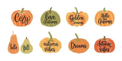 set of hand drawn pumpkins isolated on white background.Simple pumpkin lettering set. vector