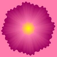 Abstract background with a pattern in the form of a pink large flower vector