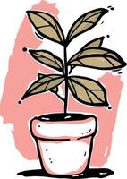 drawing of a flower in a pot without background vector
