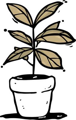 drawing of a flower in a pot without background