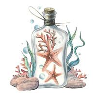 Starfish, algae, corals, pebbles and bubbles inside a glass bottle with a stopper. Hand drawn watercolor illustration of the underwater world. Composition isolated from the background vector