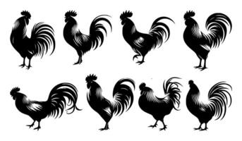 Collection of rooster silhouettes perfect for farm-themed designs, logos, and rustic decor. Add a touch of countryside charm to your projects with these dynamic and versatile rooster shapes. vector