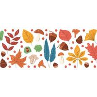 Horizontal composition of different colorful leaves isolated. Fall season design concept in the middle. Banner template with negative space. Autumn foliage elements hand drawn flat illustration vector