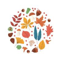 Round design concept with different fall leaves. Various foliage in circle shape. Colorful enriched fruitage and tree elements. Autumn season composition. Hand drawn flat illustration isolated vector