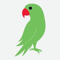 Colourful parrot With White Background vector
