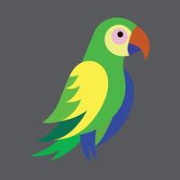 Parrots set. Colorful parrots isolated on white background vector