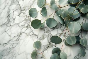 elegant template with eucalyptus branch with leaves on marble background top view with copy space photo