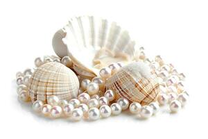 closeup sea shells and pearls isolated on white background photo
