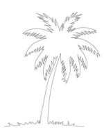 continuous line art of of a tropical palm tree on a white background. vector