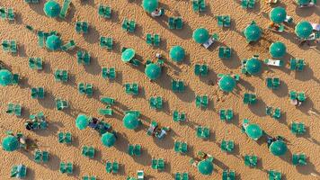 Top view of colorful umbrellas on the beach. Aerial view of a pattern of summer, relaxation, tourism, summer vibes. Top view of Italian and European beaches, beach and Mediterranean summer. photo